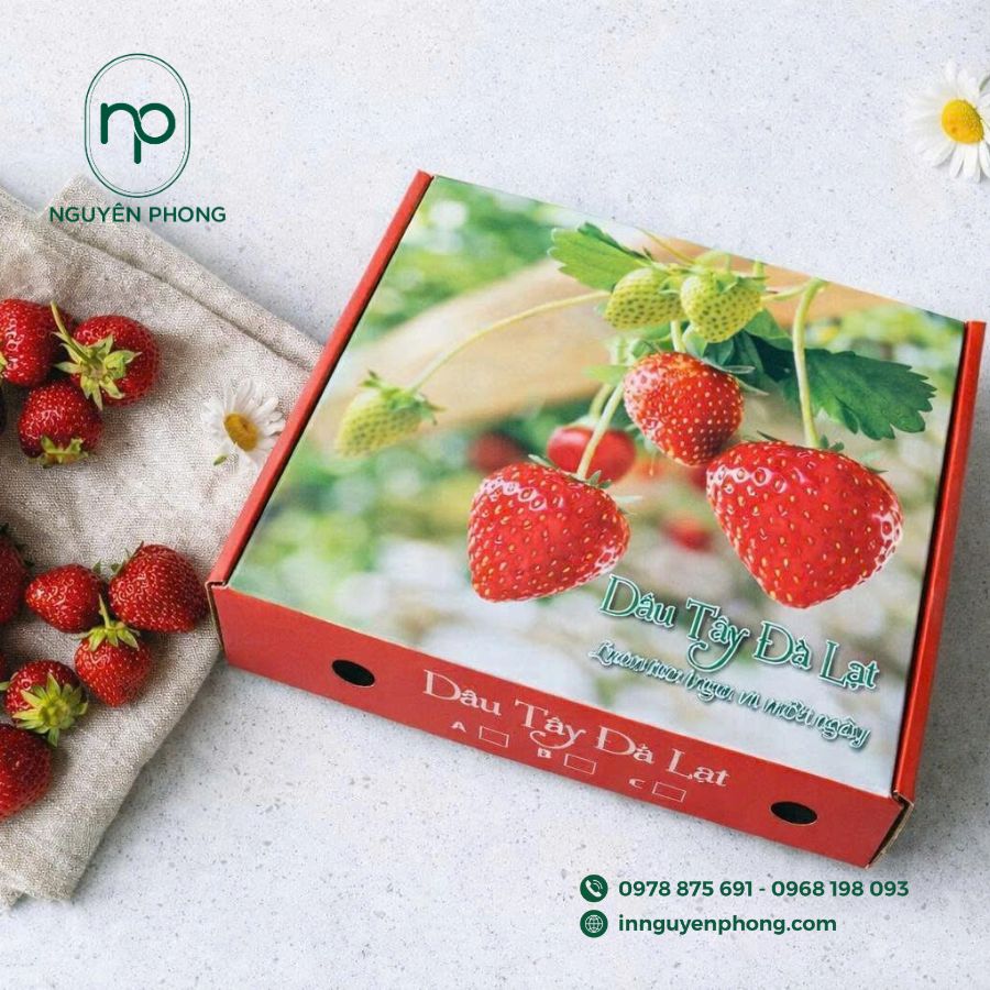 In hộp giấy đựng dâu tây bắt mắt